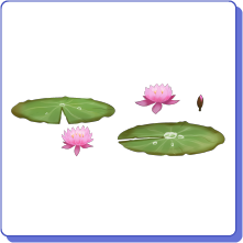 入賞作品49